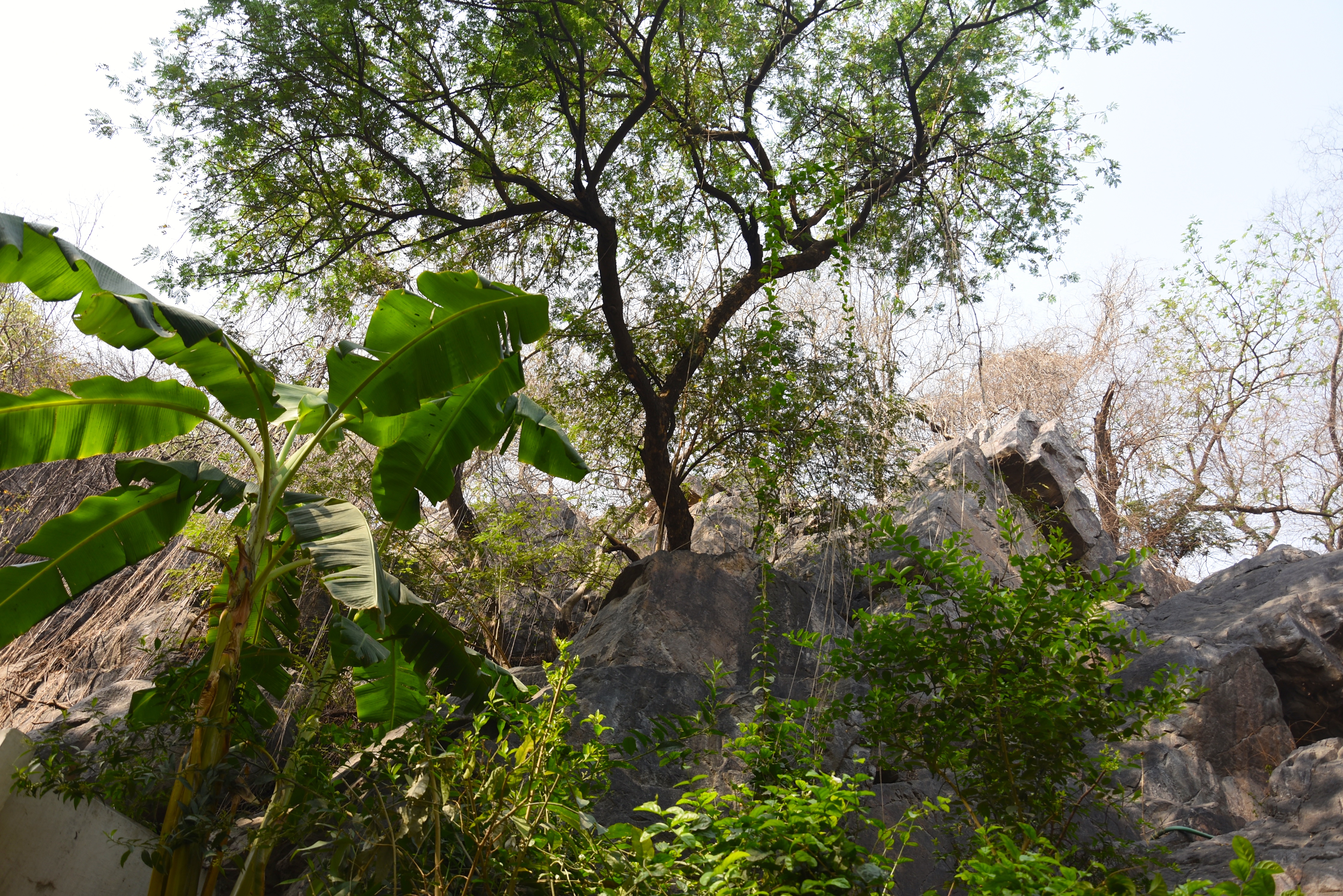 DSC_3916