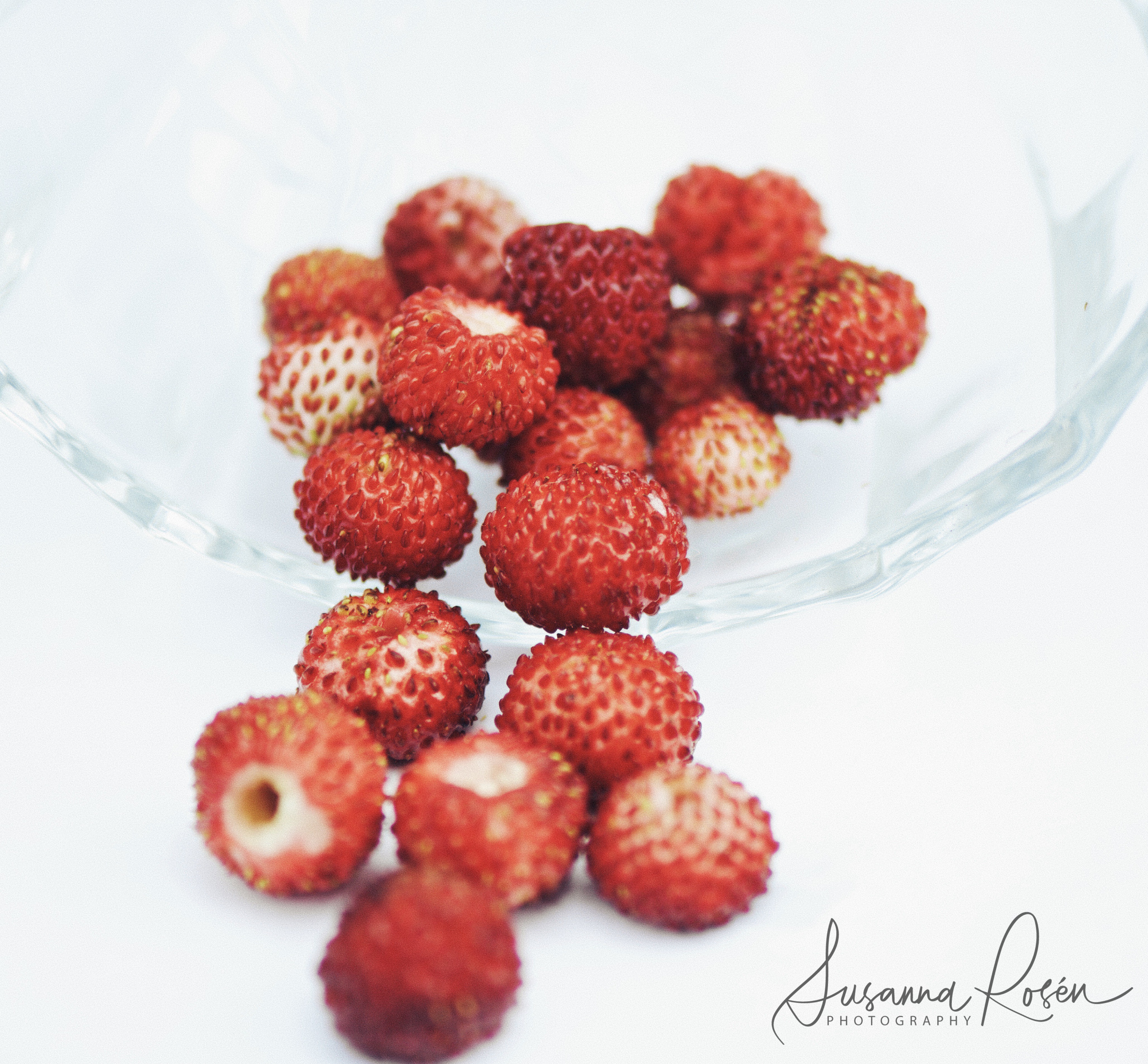 dramatic wild strawberries (kopia 2)