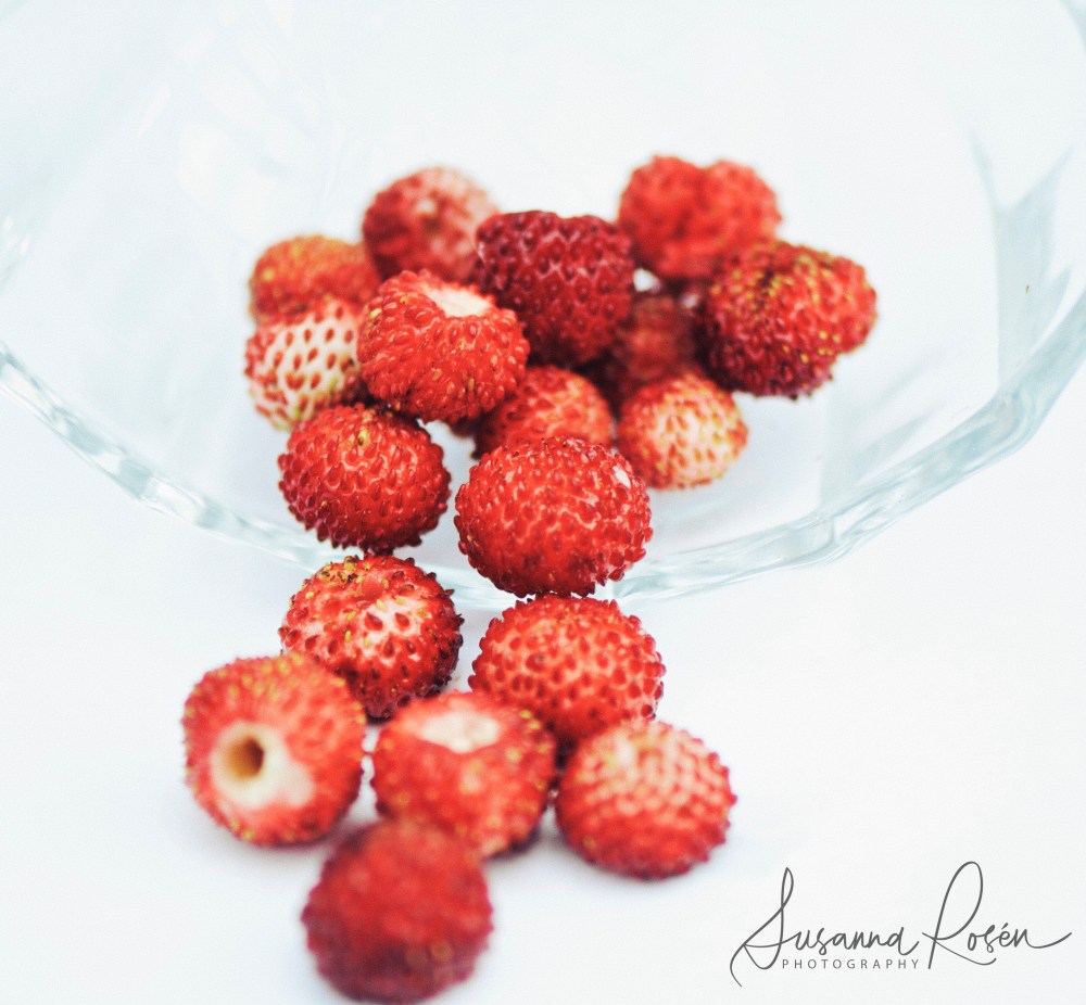 dramatic wild strawberries (kopia 2)