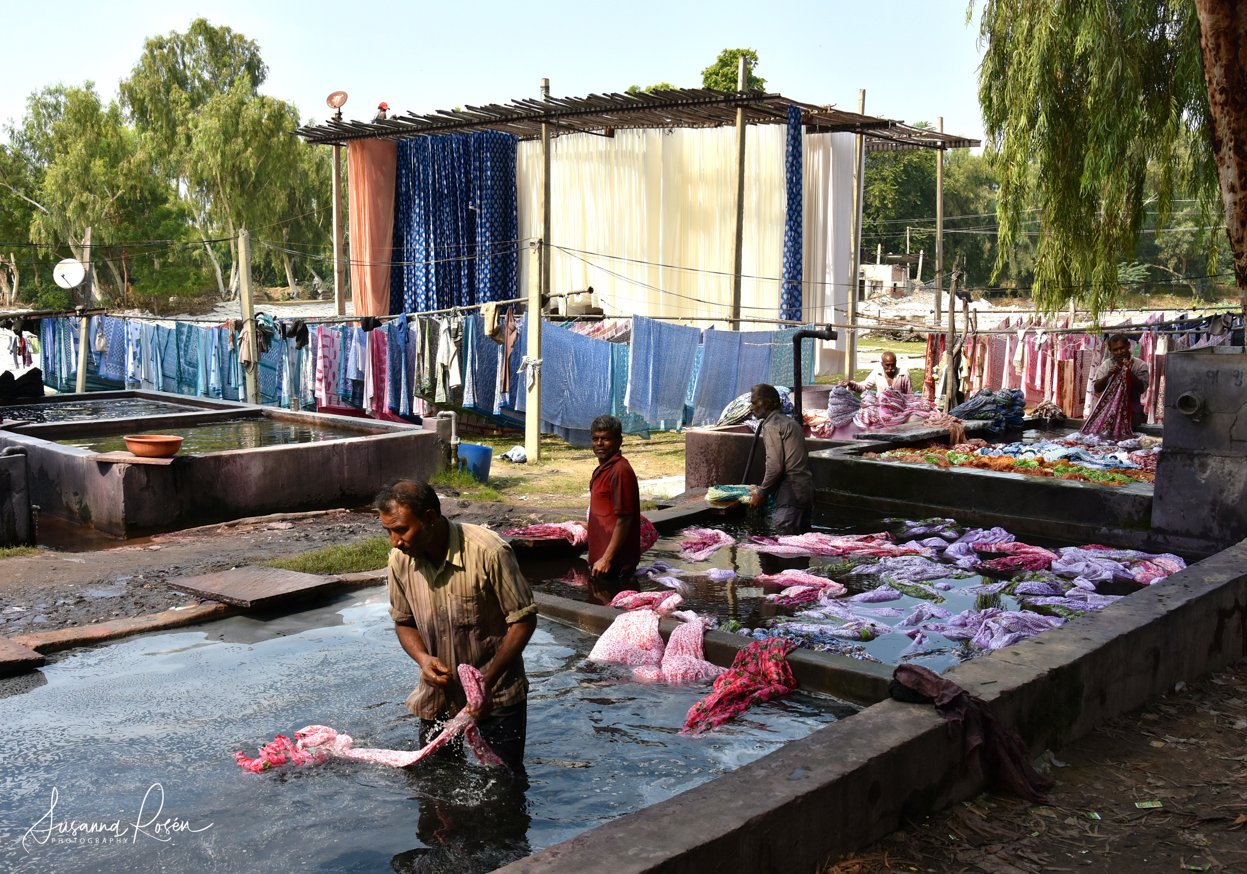 7.Dye and wash Sanganeer