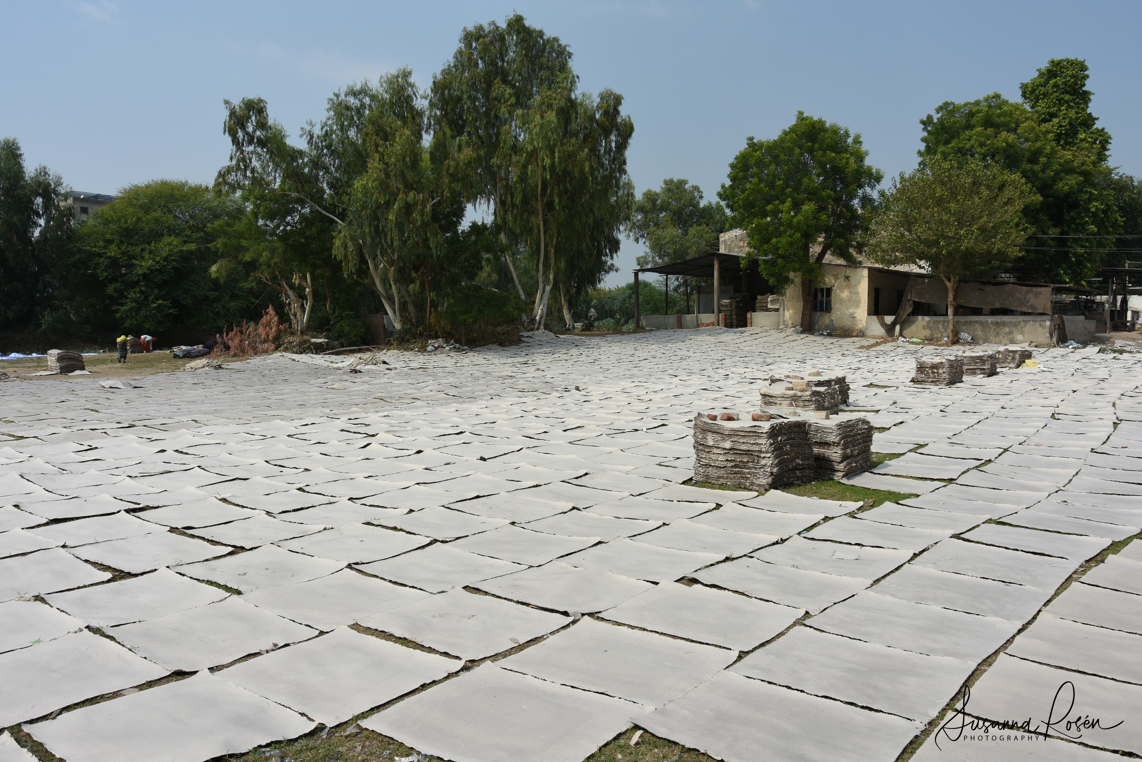 11.Handmade paper tp dry Sanganeer